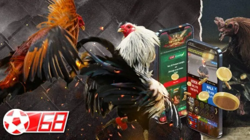 Các yếu tố hút khách của sảnh đá gà BON68