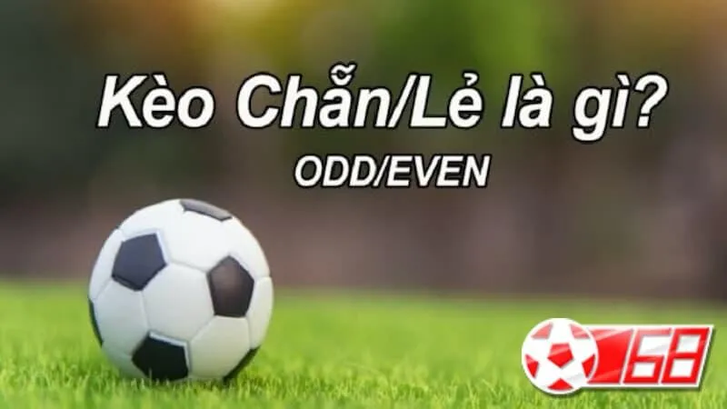 Kèo chẵn lẻ là gì?